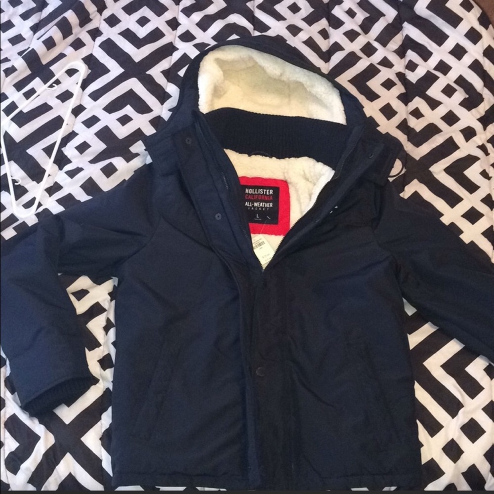 Hollister Fur Coat